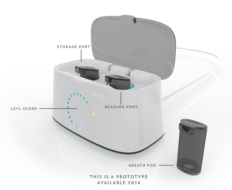 Rendering with descriptions